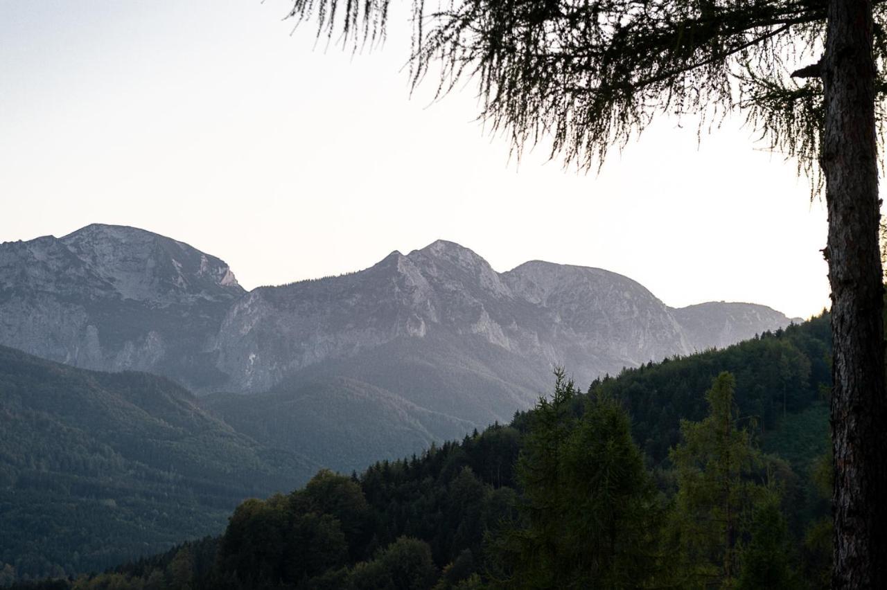 Kreitalm - Kraftplatz Im Salzkammergut Neukirchen  Екстер'єр фото